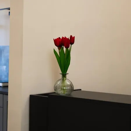 215 Colosseum - Roma